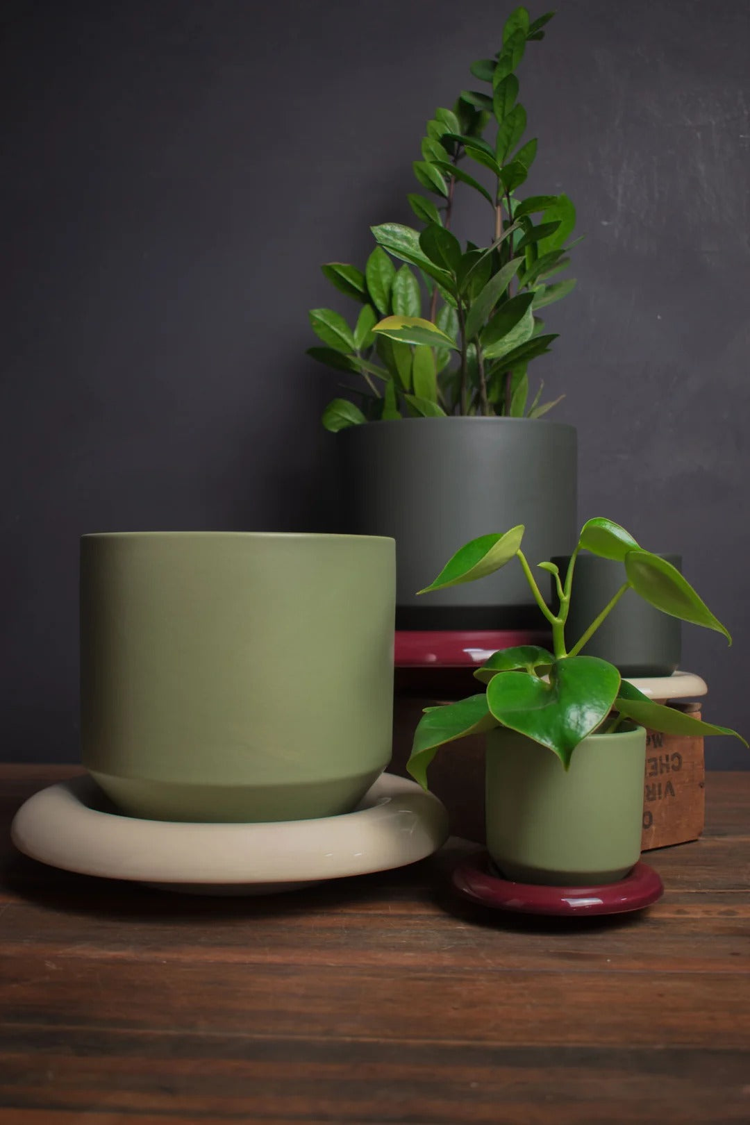 Lily Glazed Pot & Saucer | Sage Green & Deep Burgundy